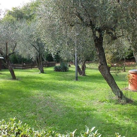 Gli Ulivi Bed & Breakfast Fosdinovo Exterior photo